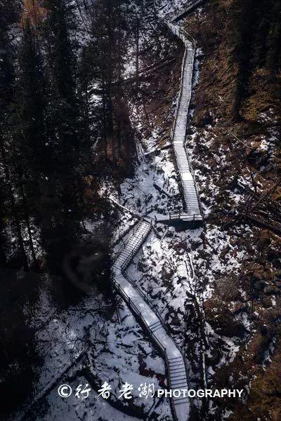 您最讨厌哈利·波特系列中的邓布利多吗?- 专业的问答类网站